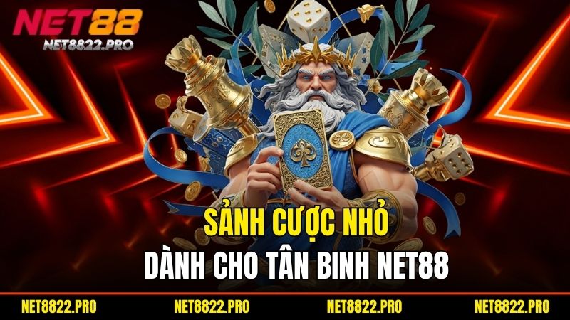 Game Bài - Đổi Thưởng Nhanh, Chơi Là Thắng Tại Net88 2 Sảnh cược nhỏ dành cho tân binh Net88