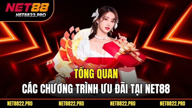 Khuyến Mãi Net88 - Trải Nghiệm Cá Cược Đầy Thú Vị 1 Tổng quan các chương trình ưu đãi tại Net88